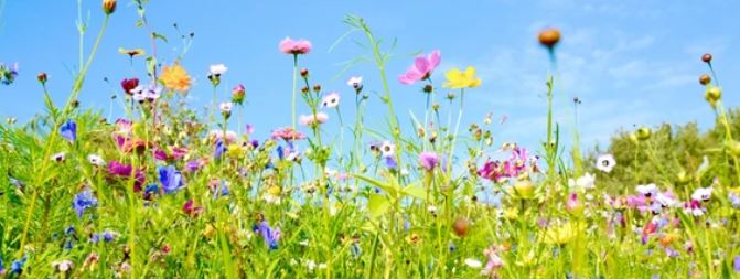 Comment trouver une bonne naturopathe evreux ?