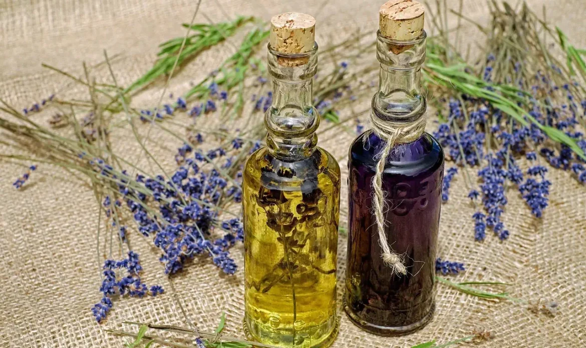 plantes naturopathie